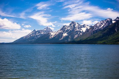Lake Jackson arkasında Grand Tetons