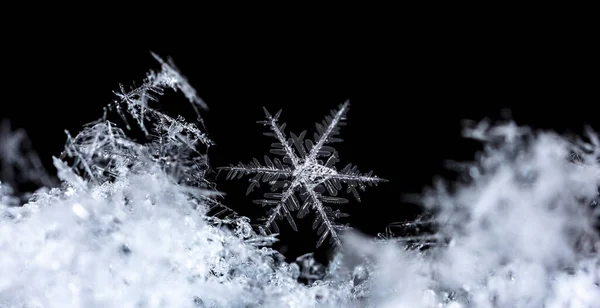 黒の背景に白い結晶の雪片 — ストック写真