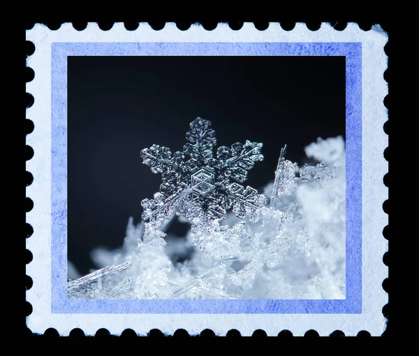 Copos Nieve Cristal Blanco Sobre Fondo Negro —  Fotos de Stock