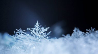 Siyah arkaplanda beyaz kristal kar taneleri