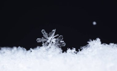 Karda buz kristalleri, yakın çekim. 