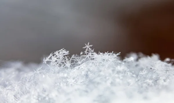 Зимние Кристаллы Льда Снегу Закрыть — стоковое фото