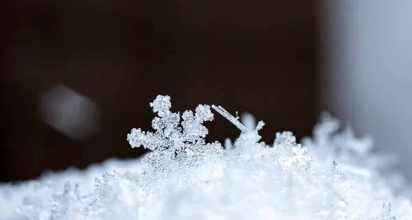 冬天冰晶在雪地里 关上了 — 图库照片