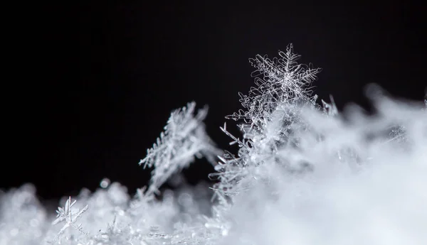 雪の中の冬の氷の結晶は — ストック写真