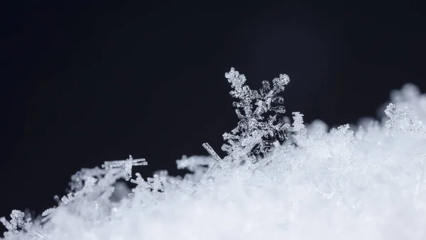 Winter Eiskristalle Schnee Hautnah — Stockfoto