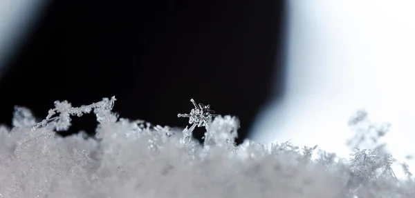 Kristal Musim Dingin Salju Tutup — Stok Foto
