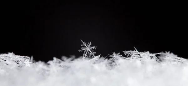 雪の中の冬の氷の結晶は — ストック写真