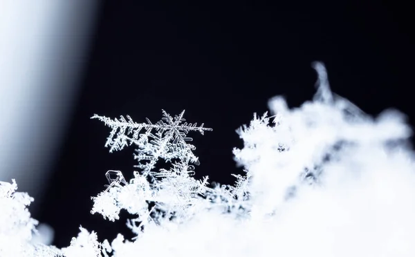 Zimowe Kryształy Lodu Śniegu Zbliżenie — Zdjęcie stockowe