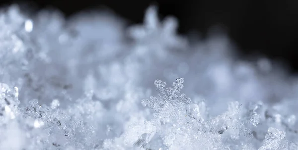 Cristais Gelo Inverno Neve Perto — Fotografia de Stock