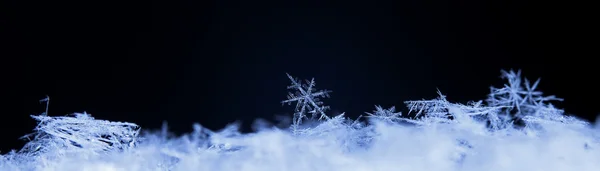 雪花飞扬 — 图库照片