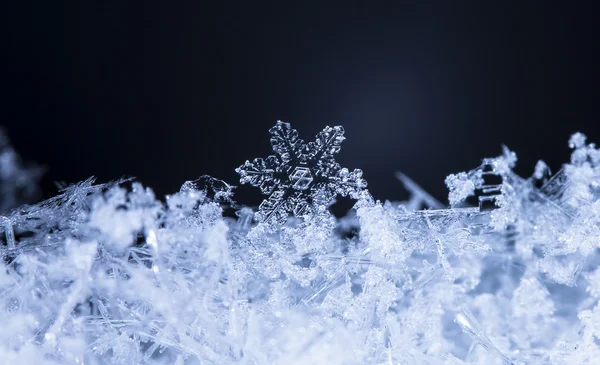 Snowflake Stock Picture