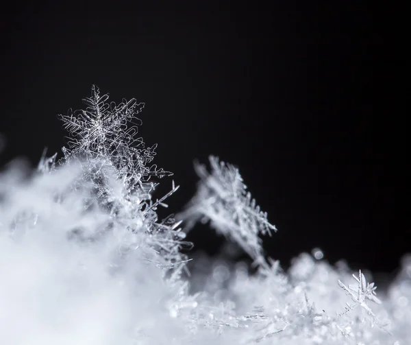 Floco de neve — Fotografia de Stock