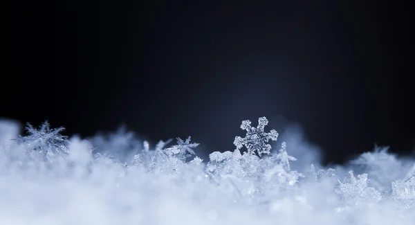 冬、雪の上の雪 — ストック写真