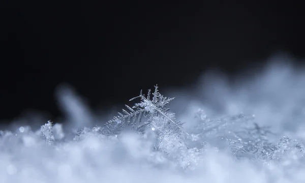 Зима, снежинки на снегу — стоковое фото