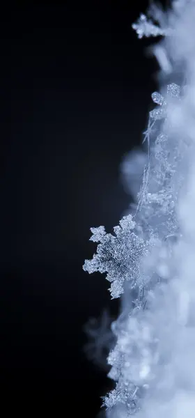 Зима, сніжинки на снігу — стокове фото