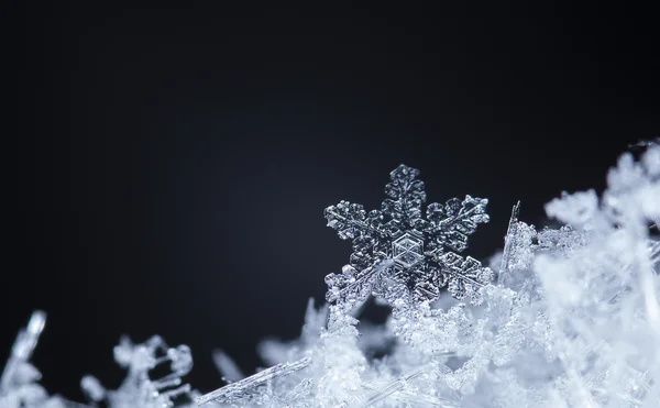 Invierno, copos de nieve en la nieve —  Fotos de Stock