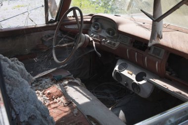 Çürümüş, unutulmuş bir arabanın içine bak.