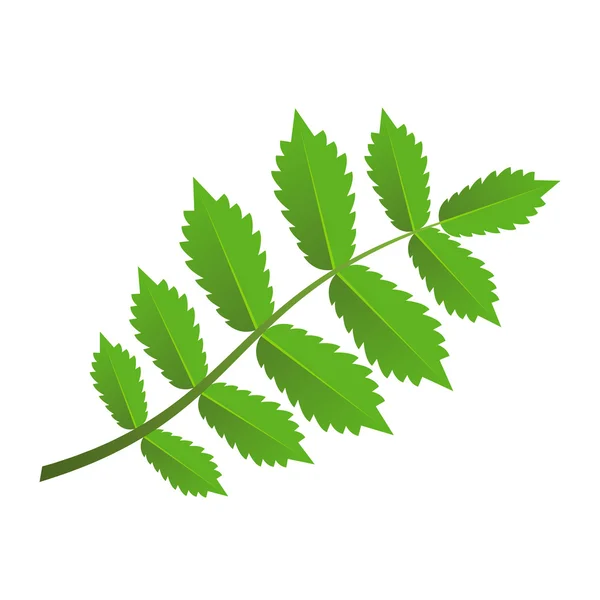 Rama verde con hojas — Archivo Imágenes Vectoriales