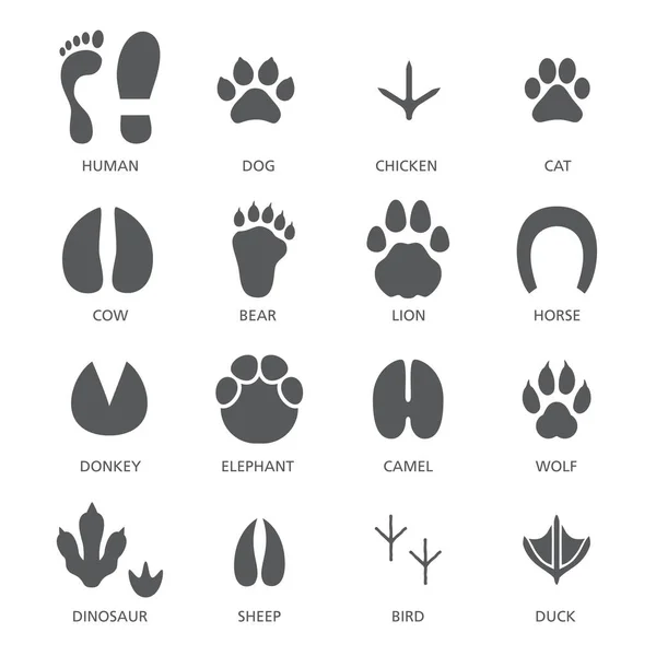Vector set of footprint of different animals and human — Stock Vector