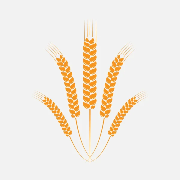 Уши пшеницы — стоковый вектор