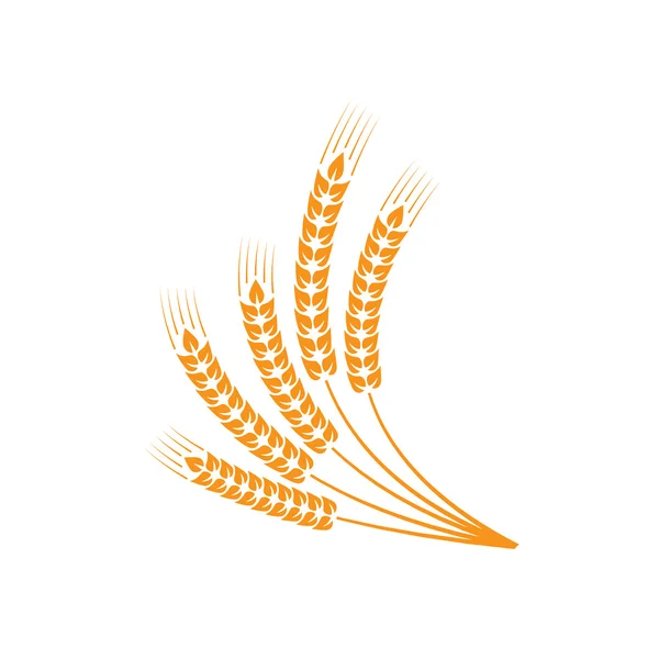 Snop pšenice — Stockový vektor
