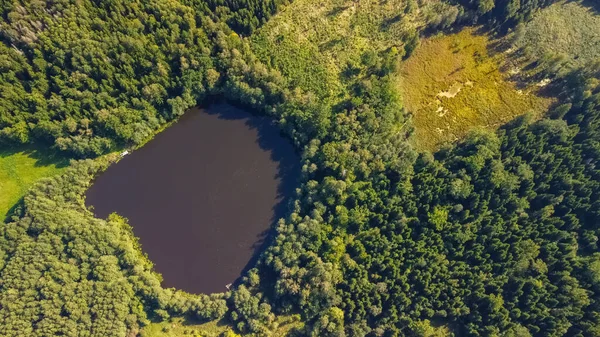 Aerial view of a lake in the forests of Lithuania, wild nature. The name of the lake is 