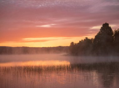 Sarı arka planda güzel mavi. Sonbahar manzarası. Kırsal alan. Doğa manzarası. Güzel sahil. Mavi arka plan. Günbatımı gökyüzü bulutları arkaplan.