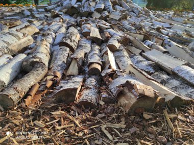 Ağaç gövdeleri açık havada istiflenir, eşsiz dokularını ve desenlerini sergiler, tahtanın doğal güzelliğini ve organik niteliklerini vurgularlar.