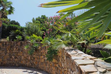 Parlak güneş ışığı, çeşitli yeşil bitkiler ve çiçeklerle dolu bir bahçeyi aydınlatıyor. Sahne, bir taş duvar ve tropik bitki örtüsünün karışımını gösteriyor. Ortam canlı ve davetkar..