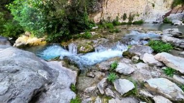 Gündüz vakti, yeşil bitkilerle çevrili bir deredeki kayaların üzerinden temiz su akar.