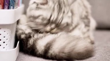 Çağdaş bir krom musluktan sürekli su akar, ağzında parlak damlacıklar, yumuşak odaklı arka planda temiz ve pürüzsüz bir banyo ortamı sergiler.