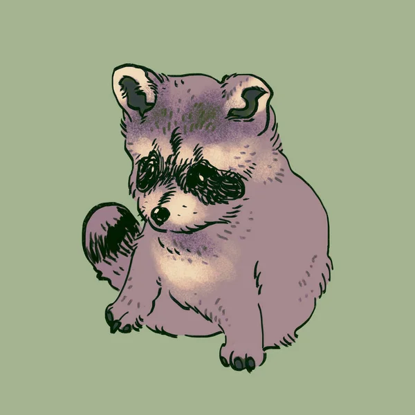 Organic Hand Drawn Cartoon Baby Raccoon Warm Tea Green Background — Stock Photo, Image