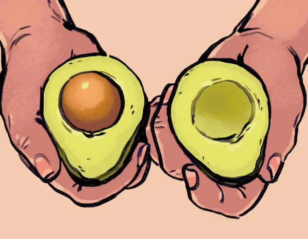 Organic Hand Drawn Pov Person Hand Showing Avocado Pit Cut — Stock Photo, Image