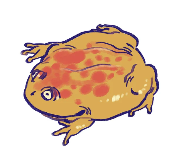 Organic Hand Drawn Funny Cute Big Budgett Frog Smiling Wide — Stock Photo, Image