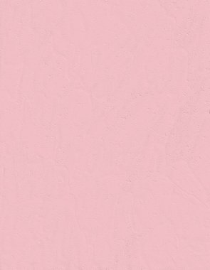 Pastel yumuşak pembe arka plan. Basit arkaplan, ağ