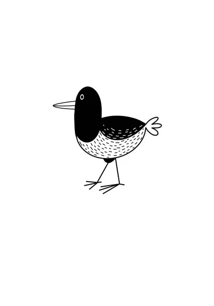 Bird Cute Cartoon Hand Drawn Doodle Illustration Isolated White Background — Stock Photo, Image