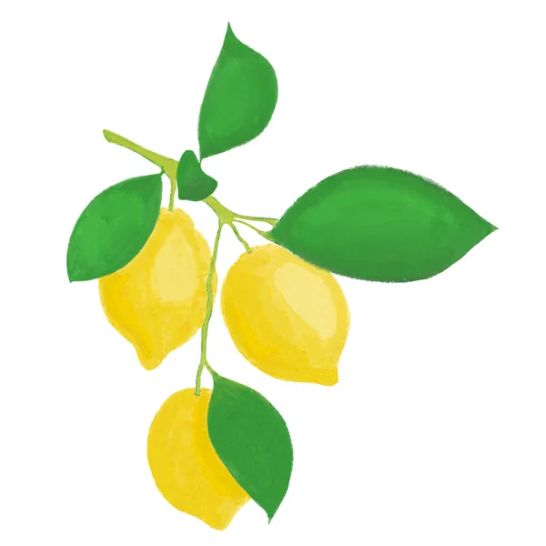 Suluboya Resimli Limon Meyvesi Beyaz Arkaplan — Stok fotoğraf