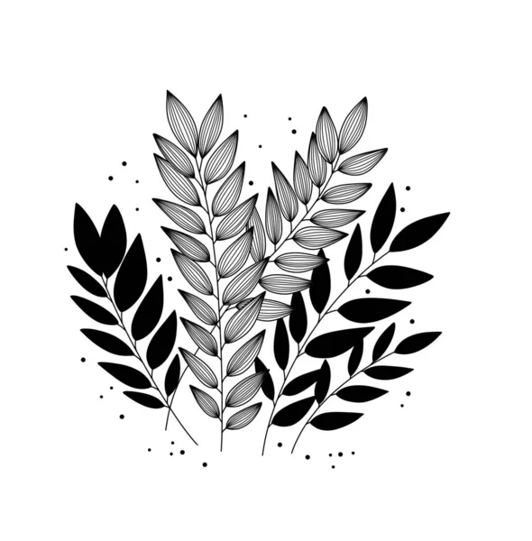 Leaves Twigs Plant Black White Graphics Isolated Illustration White Background — Stock Photo, Image