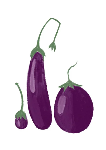 Aubergine Eggplant Illustration Food Vegetables Isolated White Background — Stock Photo, Image