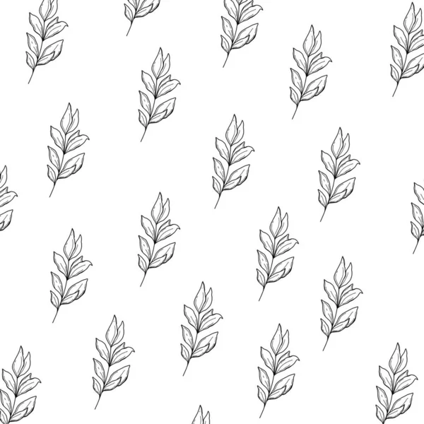 Simple Doodle Illustrations Wallpaper Flowers Plants Leaves Black White Square — Stock Photo, Image