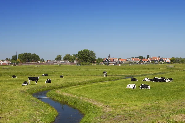 Paisagem rural holandesa em um dia ensolarado claro — Fotografia de Stock