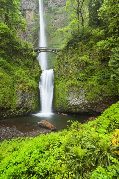 Multnomah Falls en el desfiladero del río Columbia, Oregon, EE.UU. — Foto de Stock