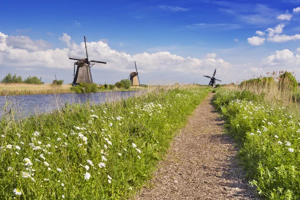 传统的荷兰风车风车村在阳光灿烂的日子 — 图库照片