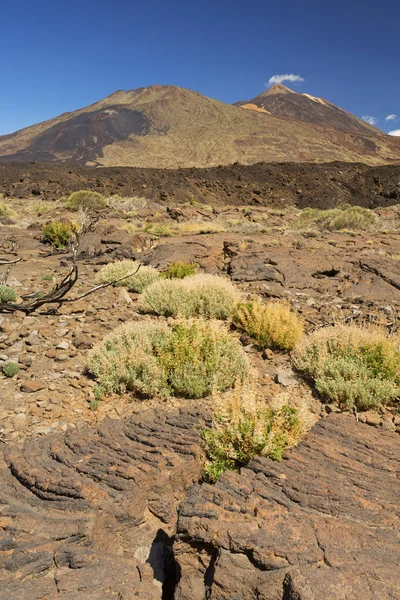 Monte Teide a Tenerife, Isole Canarie, Spagna — Foto Stock