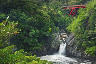 Toroki Falls Yakushima Island, Japonya
