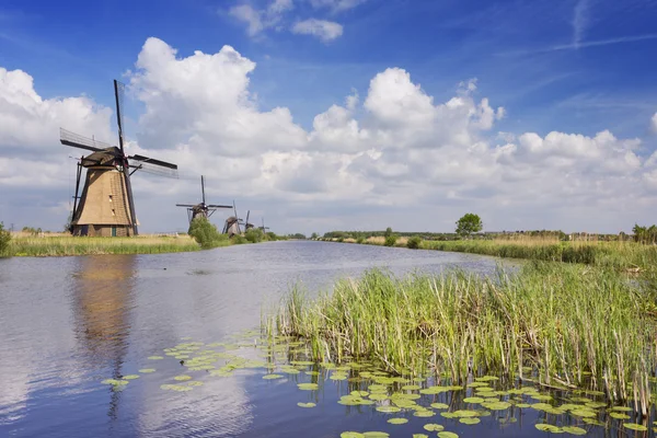 Hagyományos holland szélmalmok, egy napsütéses napon a Kinderdijk — Stock Fotó