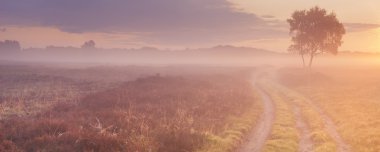 Üzerinden Hollanda'da sisli moorland gündoğumu, yol