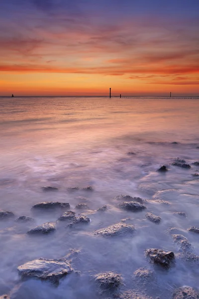 Strand met rotsen bij zonsondergang in Zeeland, Nederland — Stockfoto