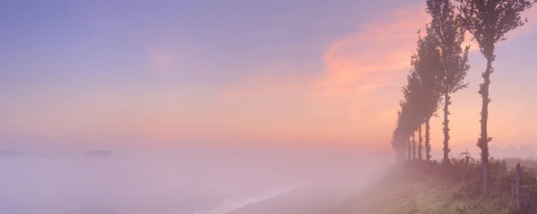 Nascer do sol nebuloso na paisagem típica de polder nos Países Baixos — Fotografia de Stock