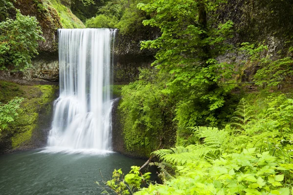 Lagere Zuid Falls, Silver Falls State Park, Oregon, Verenigde Staten — Stockfoto